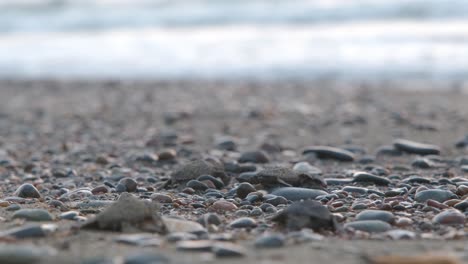 Baby-Caretta-Meeresschildkröten-Haben-Mühe,-Auf-Ihrem-Weg-Zum-Wasser-über-Die-Kieselsteine-Zu-Kriechen,-Nachdem-Sie-Das-Nest-Verlassen-Haben