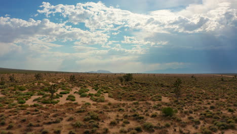 Volando-Sobre-Los-árboles-De-Joshua-En-El-Desierto-De-Mojave-En-Un-Día-Nublado-De-Verano
