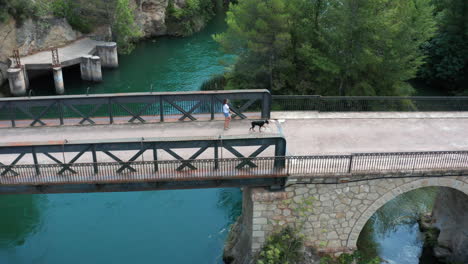 Dog-walking-over-old-bridges-near-Lago-de-Bolarque
