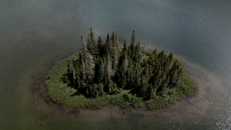 Group-of-Fir-Trees-on-Small-Island-Surrounded-by-Water-in-Lost-Lake,-Crane-Up-Drone-Aerial,-Gaspésie-National-Park,-Quebec
