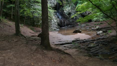 Spaziergang-Durch-Den-Wald-Zu-Einem-Picknick-Und-Einem-Wasserfall