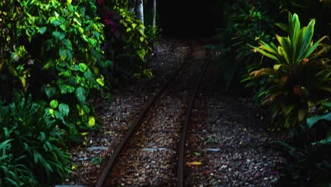 A-set-of-train-tracks-twirl-off-into-a-dense-Jungle
