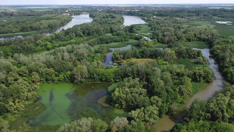 Flying-over-swamp-like-landscape-of-tisza-river-in-Hungary
