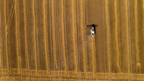 Combine-harvester-at-work-in-field