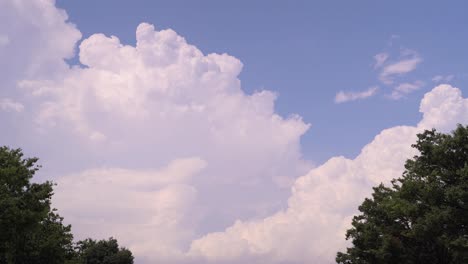 Schöne-Weiße-Kumuluswolken,-Eingerahmt-Zwischen-Zwei-Bäumen-An-Einem-Blauen,-Sonnigen-Sommertag---Gesperrte-Sicht