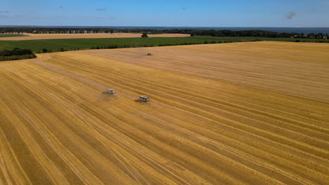 Three-combine-harvester-hard-working-on-wheat-field-during-sunny-day,-aerial-footage