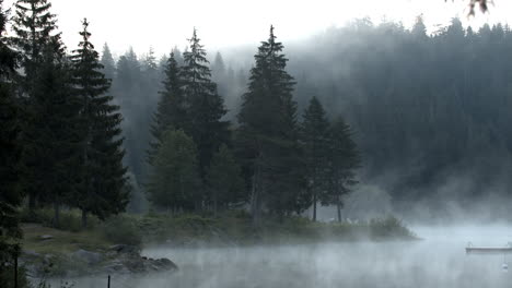 Caumasee-Lake-On-Misty-Morning-Surrounded-By-The-Lush-Green-Coniferous-Forest-In-Switzerland