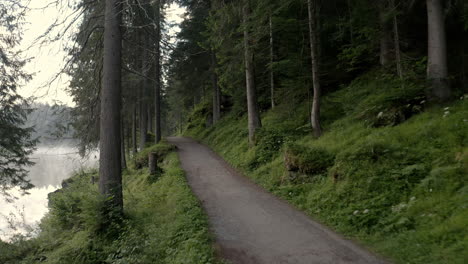 Bergweg-Durch-Den-Grünen-Wald-Neben-Dem-Caumasee-Bei-Flims,-In-Graubünden,-Schweiz
