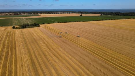 Modern-combine-harvesters-work-in-the-field,-harvesting-period-fully,-beautiful-fields-close-to-the-sea-shore,-aerial-smooth