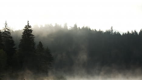 Niebla-Que-Se-Eleva-Desde-El-Lago-Hacia-Un-Exuberante-Bosque-De-Pinos-Al-Atardecer---Toma-Panorámica