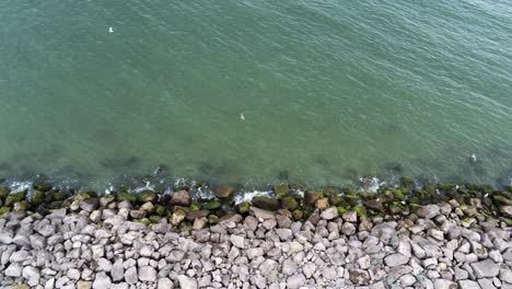 Aerial-view-above-splashing-ocean-tide-breaking-on-rocky-coastal-shoreline-descending-birds-eye