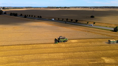 tractor-with-loaded-grain-trailer-leaves-the-combine-harvester,-machine-continues-harvesting,-field-close-to-the-roadway