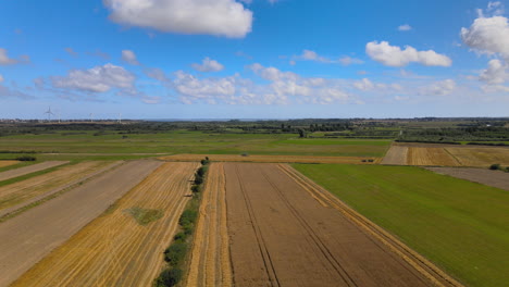 Rural-Polish-farmlands