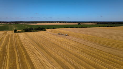 Golden-brown-fields-of-barley