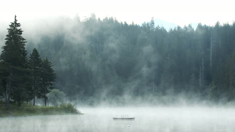 Heavy-Fog-In-Lake-Rising-Like-Steam-At-The-Edge-Of-The-Forest---wide-shot