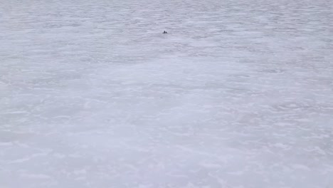 Ein-Schneemobil-Gleitet-über-Das-Eis-Des-Fitzgerald-Pond,-Maine