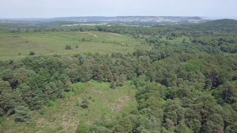 Fliegen-über-Grüne-Wälder-Und-Weitläufige-Felder-In-Devon,-Großbritannien