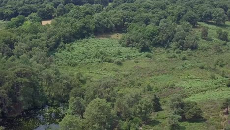 Aerial-Pan-Left-across-a-beautiful-pond-hidden-in-a-magical-forest,-STATIC-CROP