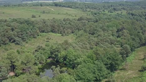 Aerial-Fly-Over-of-a-beautiful-forest-with-a-pond-in-Devon,-England,-STATIC-CROP