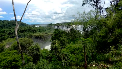 Looking-through-thick-green-jungle-foliage-to-the-Iguazú-waterfalls-in-Argentina