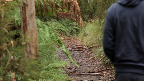 Man-hiking-along-a-forest-track-in-the-Otway-Ranges-National-Park,-Australia