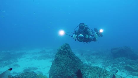 Ein-Zeitlupenvideo-Eines-Unterwasserkameramanns,-Der-Meereslebewesen-Im-Ozean-Mit-Unterwasserausrüstung-Und--lichtern-Filmt