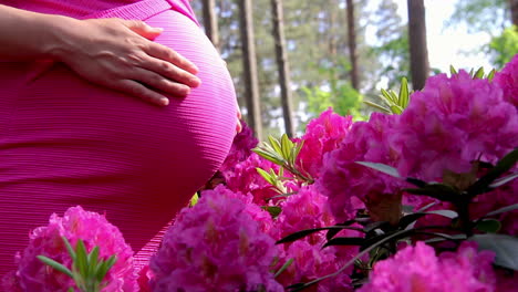 Mujer-Embarazada-Vestida-Sostiene-Las-Manos-En-El-Vientre-Sobre-El-Fondo-Natural-Del-Rododendro-En-El-Día-De-Verano