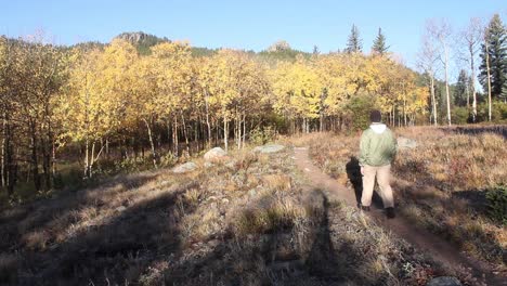A-hiker-walks-away-from-the-camera-with-fall-colors-and-aspen-in-the-background