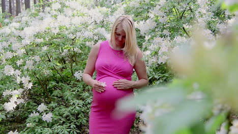 Schwangere-Frau-Im-Kleid-Hält-Am-Sommertag-Die-Hände-Am-Bauch-Auf-Natürlichem-Hintergrund-Des-Rhododendrons