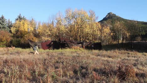 A-solitary-hiker-walks-past-an-abandoned-cabin-with-fall-colors-in-the-background