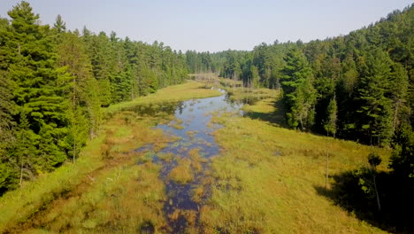 Beautiful-4K-aerial-shot-flying-over-a-swampy-river-in-a-forest-wilderness-in-Ontario,-Canada