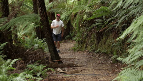 Man-walking-along-a-bush-forest-track