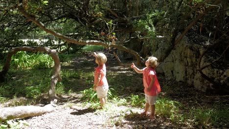 Twin-girls-enthralled-by-butterfly-flying-around-them-in-a-milkwood-forest-in-Hermanus,-South-Africa