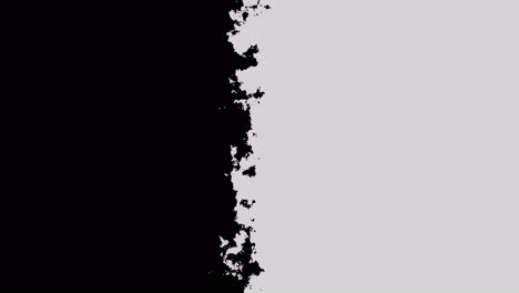 Hintergrundvideo-Eines-Kontrastierenden-Schwarz-Weiß-Rahmens,-Der-In-Zwei-Hälften-Geteilt-Ist,-Mit-Animierter-Farbtextur