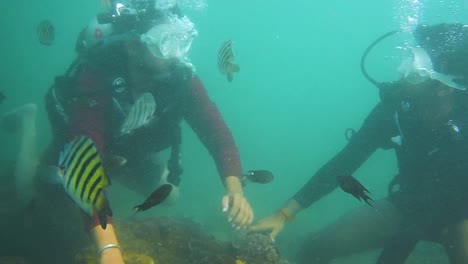 Zwei-Freunde,-Die-Im-Tiefblauen-Arabischen-Meer-Tauchen-Und-Versuchen,-Unter-Wasser-Fische-Zu-Fangen