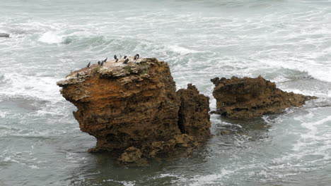Ein-Australischer-Küstenstrand-Mit-Kalksteinklippen-Und--formationen