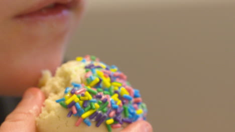 Extreme-close-up-of-a-little-boy-enjoying-a-homemade-sprinkle-cookie