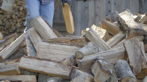 Man-Picks-up-Logs-from-a-Pile