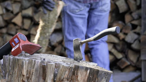 Man-Walks-Behind-Hatchets-on-a-Stump-to-Set-Logs-on-a-Stack