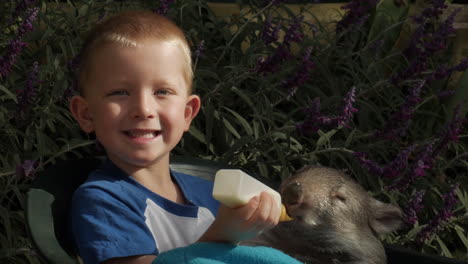 Boy-feeding-a-joey-wombat-gives-a-big-smile-to-the-camera