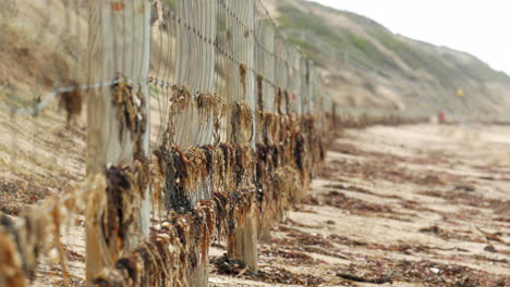 Coastal-beach-wire-fence-to-help-erosion-of-the-dunes