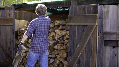 Man-Picks-up-Logs-from-Pile-and-Sets-it-on-a-Stack