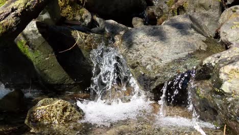 Agua-Que-Fluye-Sobre-Rocas-Cubiertas-De-Musgo-En-El-Bosque-Del-Bosque-Nacional-Olímpico