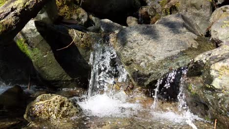 Agua-Que-Fluye-Sobre-Rocas-Cubiertas-De-Musgo-En-El-Bosque-Del-Bosque-Nacional-Olímpico