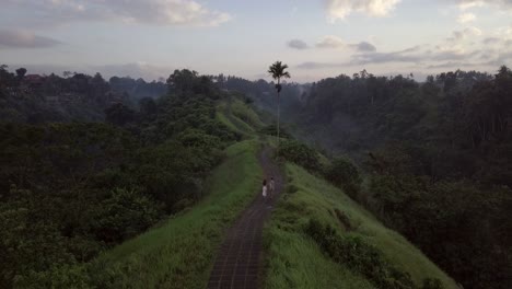 AERIAL:-Campuhan-Ridge-Walk-in-Ubud-Bali