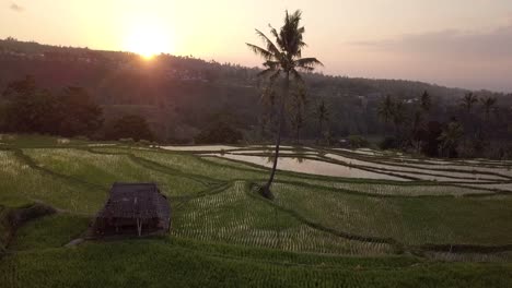 AERIAL:-Rice-terraces-in-Lombok-Indonesia