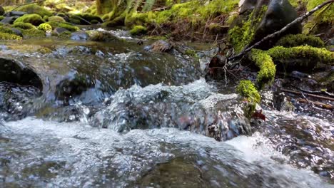 Water-flowing-over-rocks-covered-by-moss-in-the-forest-of-the-Olympic-National-Forest