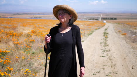 A-happy-old-woman-with-gray-hair-walking-on-a-hot-dirt-road-in-a-summer-field-of-flowers-with-a-walking-stick-SLOW-MOTION