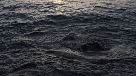 Sonnenuntergang-Des-Rollenden-Ozeans