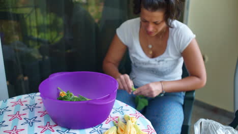 Footage-of-a-caucasian-woman-preparing-and-cleaning-zucchini-flowers-outdoors